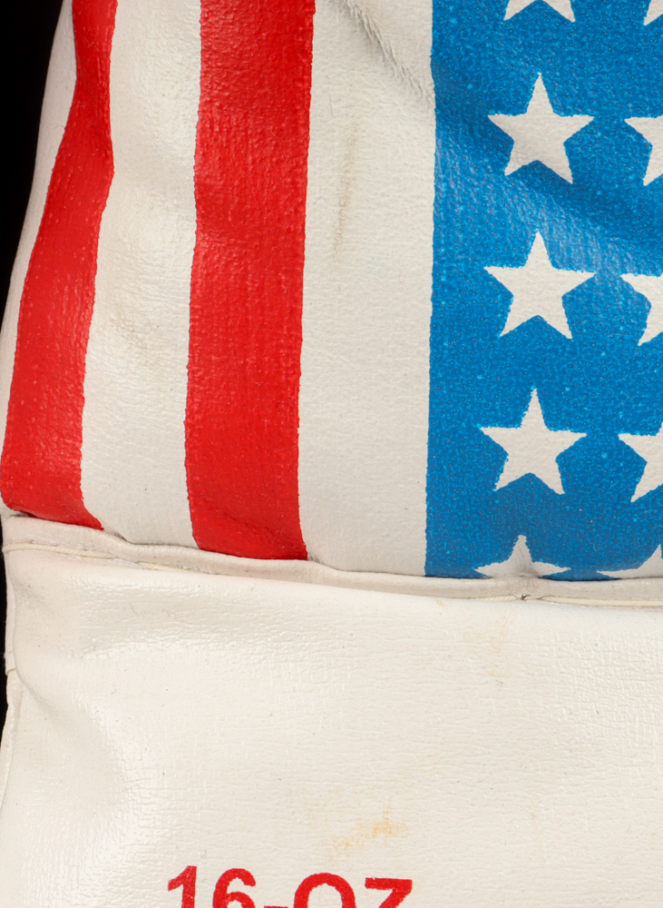 Mike Tyson Signed Pair of USA Boxing Gloves (Tyson) at PristineAuction.com Mike Tyson Signed Pair of USA Boxing Gloves (Tyson) at PristineAuction.com