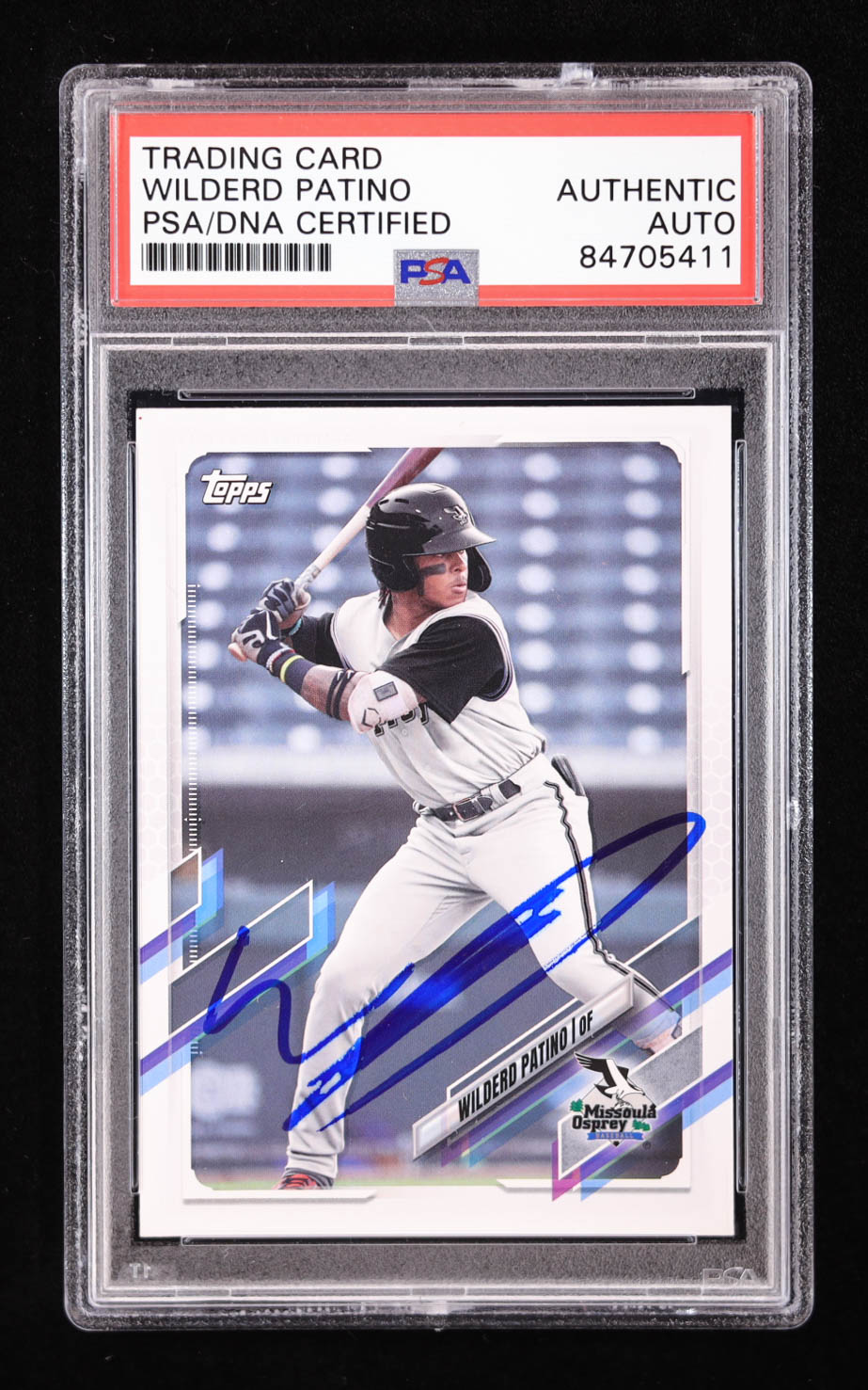 Wilderd Patino Signed 2021 Topps Pro Debut #PD85 RC (PSA) at PristineAuction.com Wilderd Patino Signed 2021 Topps Pro Debut #PD85 RC (PSA) at PristineAuction.com