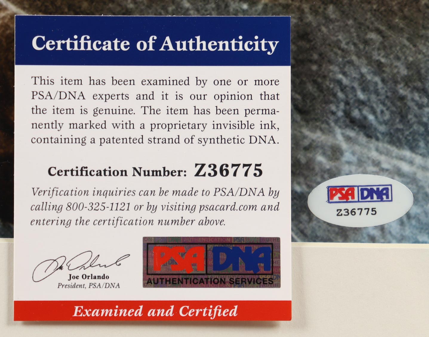 Zoe Saldana Signed "Star Trek: Into Darkness" Custom Framed Photo Display (PSA) at PristineAuction.com Zoe Saldana Signed "Star Trek: Into Darkness" Custom Framed Photo Display (PSA) at PristineAuction.com