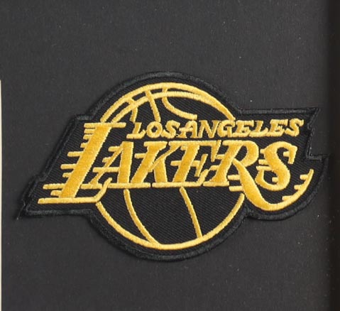 Lebron James Custom Framed Jersey Display | Pristine Auction