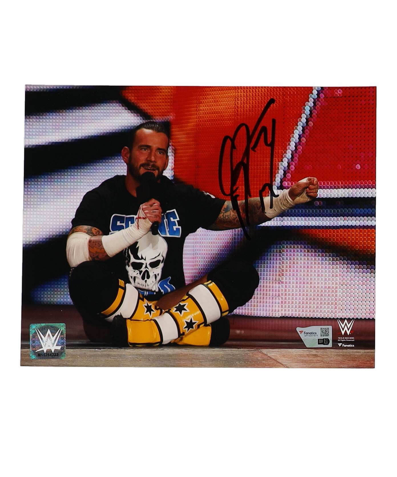 CM Punk Signed WWE 8x10 Photo (Fanatics) at PristineAuction.com CM Punk Signed WWE 8x10 Photo (Fanatics) at PristineAuction.com