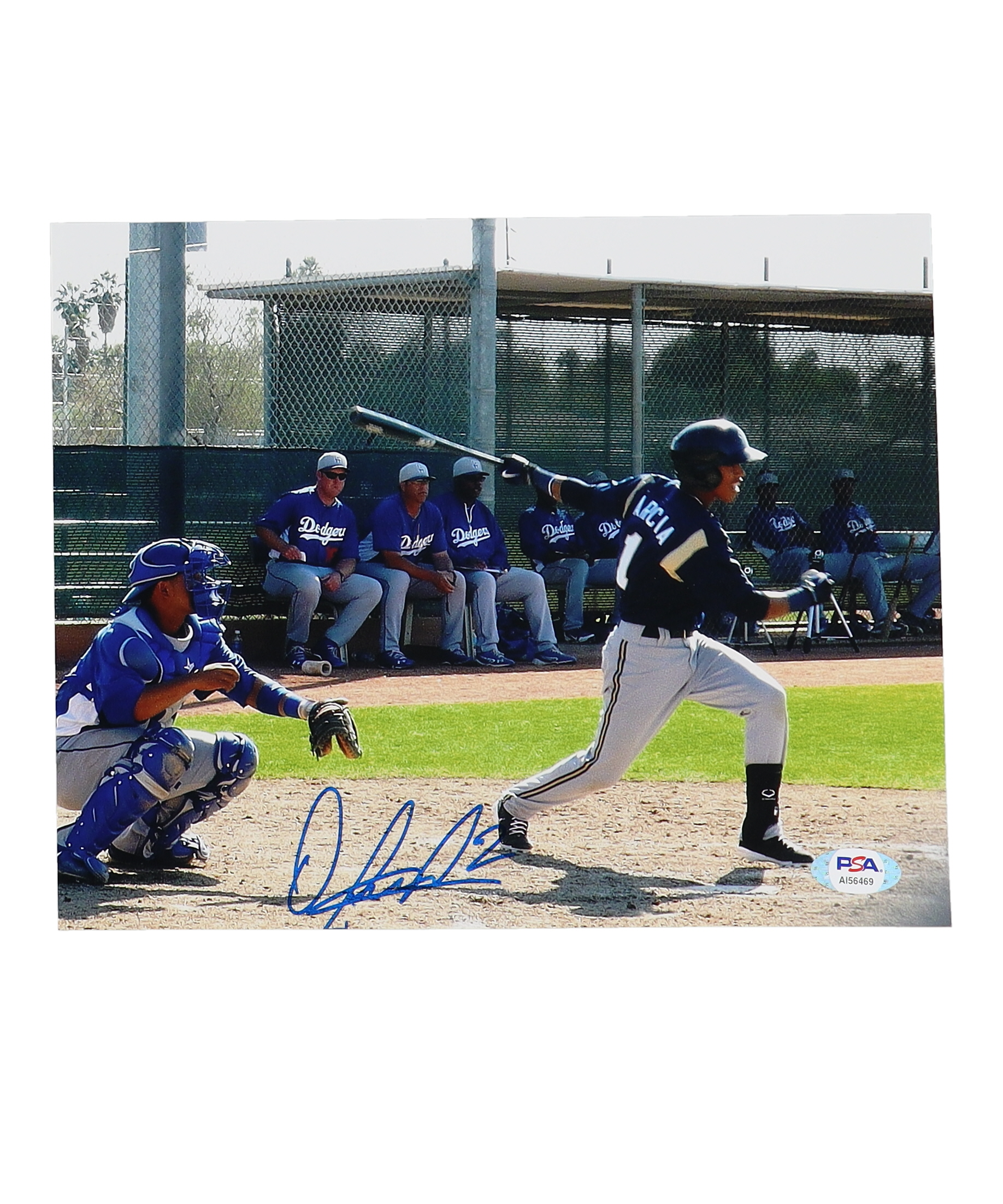 Orlando Arcia Signed Brewers 8x10 Photo (PSA) at PristineAuction.com Orlando Arcia Signed Brewers 8x10 Photo (PSA) at PristineAuction.com