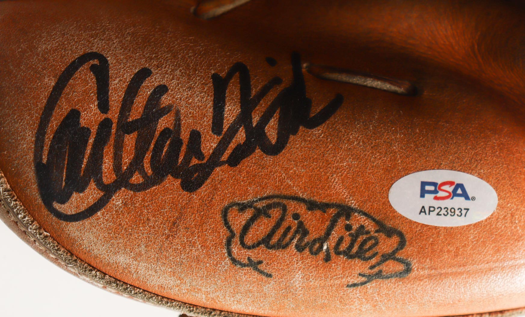 Carlton Fisk Signed Wilson Player Model Catcher's Glove with Display Case (PSA) at PristineAuction.com Carlton Fisk Signed Wilson Player Model Catcher's Glove with Display Case (PSA) at PristineAuction.com