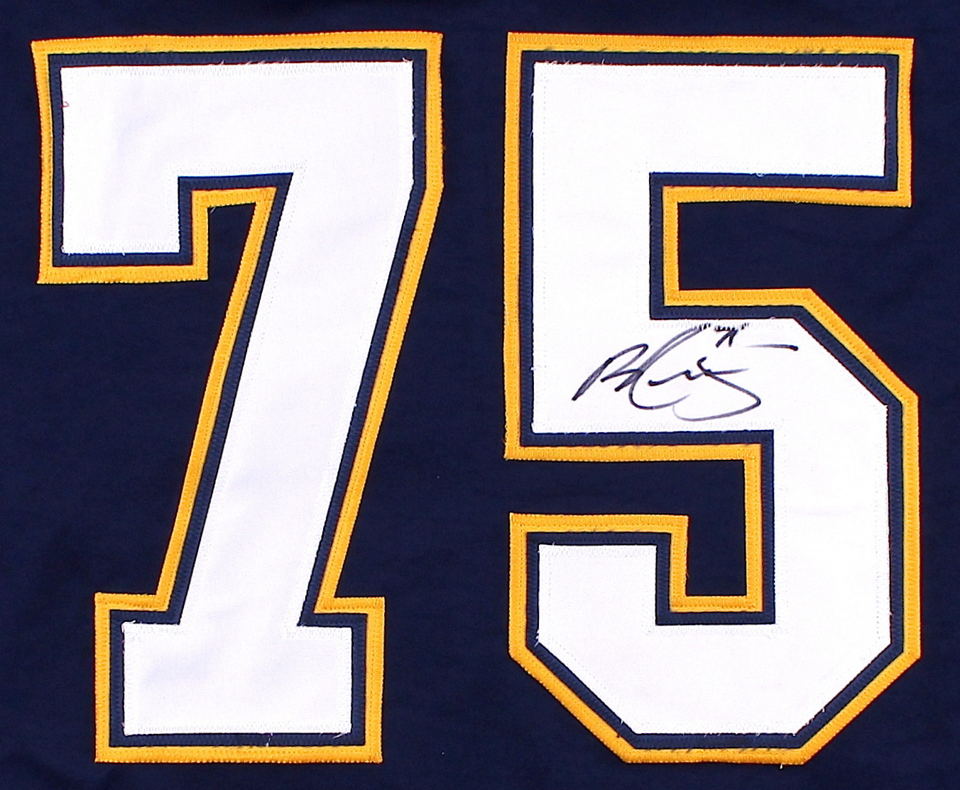 Ryan Reaves Signed Blues Jersey (PA LOA) | Pristine Auction