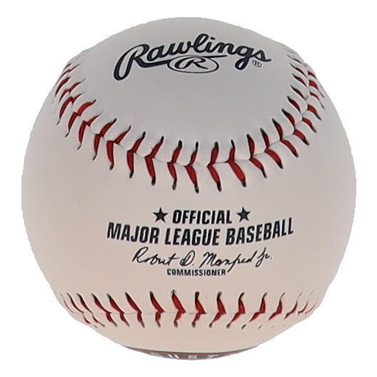 Jake Meyers Signed OML Astros Logo Baseball (JSA) at PristineAuction.com Jake Meyers Signed OML Astros Logo Baseball (JSA) at PristineAuction.com