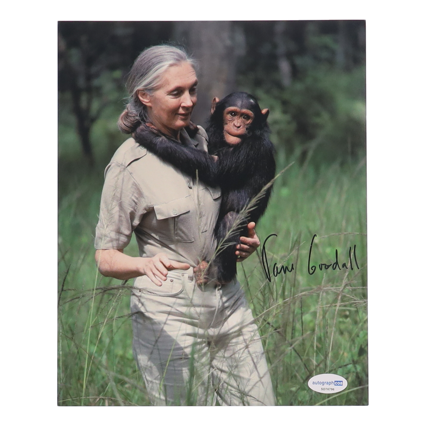 Jane Goodall Signed 8x10 Photo (AutographCOA) at PristineAuction.com Jane Goodall Signed 8x10 Photo (AutographCOA) at PristineAuction.com