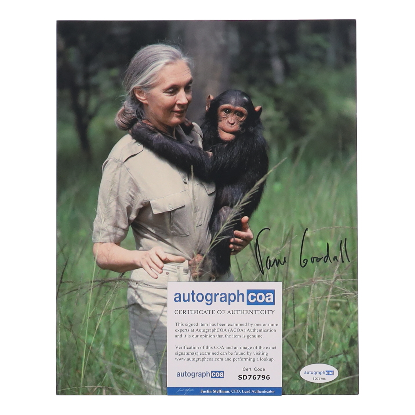 Jane Goodall Signed 8x10 Photo (AutographCOA) at PristineAuction.com Jane Goodall Signed 8x10 Photo (AutographCOA) at PristineAuction.com