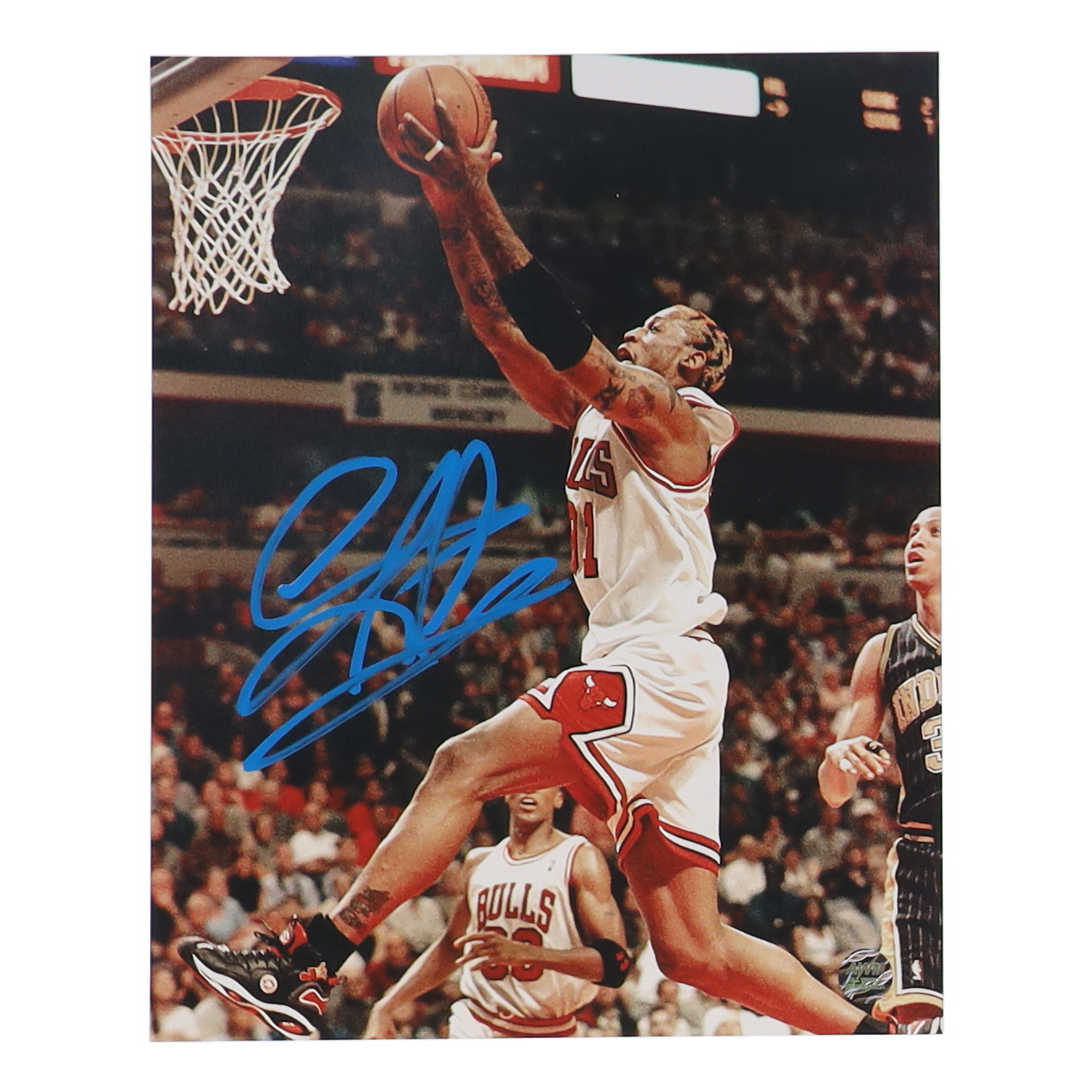 Dennis Rodman Signed Bulls 8x10 Photo (AWM) at PristineAuction.com Dennis Rodman Signed Bulls 8x10 Photo (AWM) at PristineAuction.com
