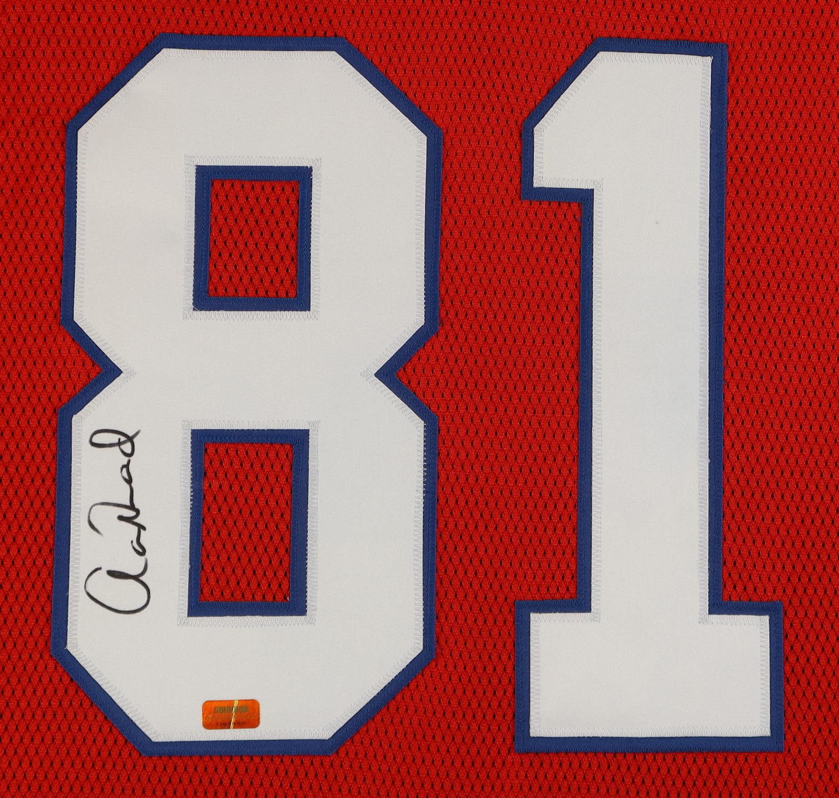 Aaron Hernandez Signed Custom Framed Jersey Display (Gridiron) at PristineAuction.com Aaron Hernandez Signed Custom Framed Jersey Display (Gridiron) at PristineAuction.com