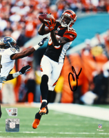 Chad Ochocinco Johnson Signed Bengals 8x10 Photo (Fanatics) at PristineAuction.com