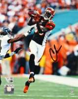Chad Ochocinco Johnson Signed Bengals 8x10 Photo (Fanatics) at PristineAuction.com