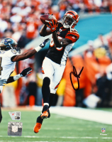 Chad Ochocinco Johnson Signed Bengals 8x10 Photo (Fanatics) at PristineAuction.com