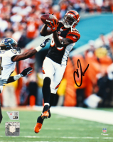 Chad Ochocinco Johnson Signed Bengals 8x10 Photo (Fanatics) at PristineAuction.com