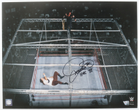 Mick Foley Signed WWE 16x20 Photo Inscribed "HIAC '98" (Fanatics) at PristineAuction.com