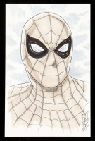 "Spider-Man" 5.5x8.5 Original Hand-Drawn Sketch By Tom Hodges at PristineAuction.com