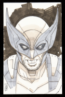 "Wolverine" 5.5x8.5 Original Hand-Drawn Sketch By Tom Hodges at PristineAuction.com