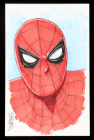 "Spider-Man" 5.5x8.5 Original Hand-Drawn Sketch By Tom Hodges at PristineAuction.com
