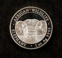 2020 Somalia African Wildlife Series, Elephant - 1 Ounce .9999 Fine Silver Coin at PristineAuction.com