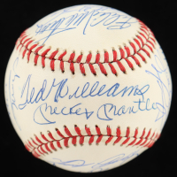 Hank Aaron, Mickey Mantle, Willie Mays, Ted Williams, Ken Griffey Jr., David Ortiz | 500 Home Run Club ONL Baseball Signed By (21) (Beckett) at PristineAuction.com