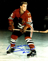 Bobby Hull Signed Blackhawks 8x10 Photo (Schwartz) at PristineAuction.com
