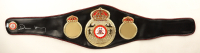 Devin Haney Signed WBA Full-Size Championship Belt (Beckett) at PristineAuction.com