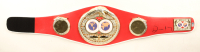 Devin Haney Signed IBF Full-Size Championship Belt (Beckett) at PristineAuction.com