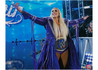 Charlotte Flair Signed WWE 16x20 Photo (Fanatics) at PristineAuction.com