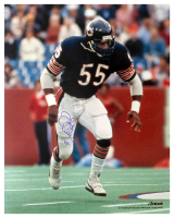 Otis Wilson Signed Bears 16x20 Photo (Schwartz) at PristineAuction.com