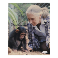 Jane Goodall Signed 8x10 Photo (ACOA) at PristineAuction.com