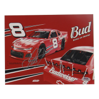Dale Earnhardt Jr. Signed NASCAR 8x10 Photo (PSA) at PristineAuction.com