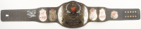 "Stone Cold" Steve Austin Signed "Smoking Skull" WWE Championship Title Belt (Beckett) at PristineAuction.com