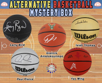 ALTERNATIVE Basketball Signed Mystery Box - Series 12 (Limited to 150) – Schwartz Sports at PristineAuction.com
