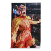 Chad Gable Signed "El Grande Americano" WWE 11x17 Photo (AutographCOA) at PristineAuction.com