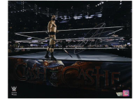 Drew McIntyre Signed WWE 16x20 Photo (Fanatics) at PristineAuction.com