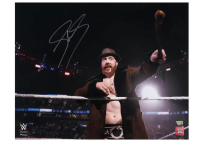 Sheamus Signed WWE 16x20 Photo (Fanatics) at PristineAuction.com