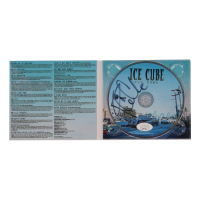 Ice Cube Signed "Man Down" CD With Case (JSA) at PristineAuction.com