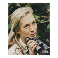 Jane Goodall Signed 8x10 Photo (Beckett) at PristineAuction.com