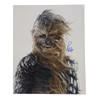 Peter Mayhew Signed "Star Wars: Episode V – The Empire Strikes Back" 16x20 Photo (Beckett) at PristineAuction.com