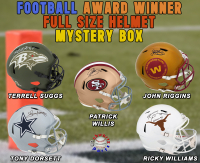 Football AWARD WINNER Signed Full Size Helmet Mystery Box Series 16 (Limited to 100) – Schwartz Sports at PristineAuction.com