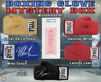 Boxing Glove Signed Mystery Box - Series 25 (Limited to 100) – Schwartz Sports at PristineAuction.com