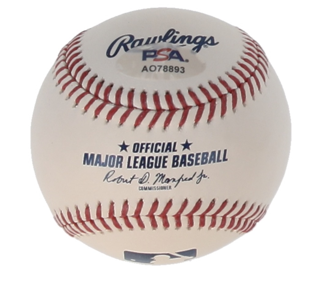 Oswaldo Cabrera Signed OML Baseball (PSA) at PristineAuction.com Oswaldo Cabrera Signed OML Baseball (PSA) at PristineAuction.com