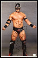 Dragon Lee Signed WWE 11x17 Photo (AutographCOA) at PristineAuction.com