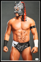 Dragon Lee Signed WWE 11x17 Photo (AutographCOA) at PristineAuction.com
