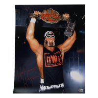 Hulk "Hollywood" Hogan Signed WWE 16x20 Photo (Beckett) at PristineAuction.com