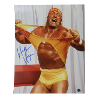 Hulk Hogan Signed WWE 16x20 Photo (Beckett) at PristineAuction.com