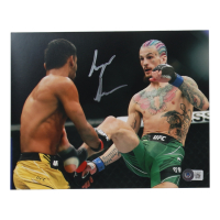 Sean O'Malley Signed UFC 8x10 Photo (Beckett) at PristineAuction.com