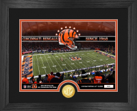 Bengals LE Custom Framed Photo with Bronze Coin at PristineAuction.com