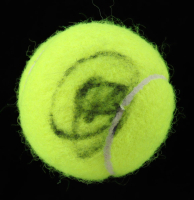 Novak Djokovic Signed Tennis Ball (Beckett) at PristineAuction.com