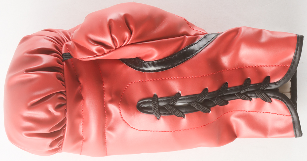 Mike Tyson Signed Everlast Boxing Glove (Tyson) at PristineAuction.com Mike Tyson Signed Everlast Boxing Glove (Tyson) at PristineAuction.com