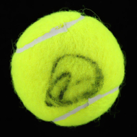 Novak Djokovic Signed Tennis Ball (JSA) at PristineAuction.com